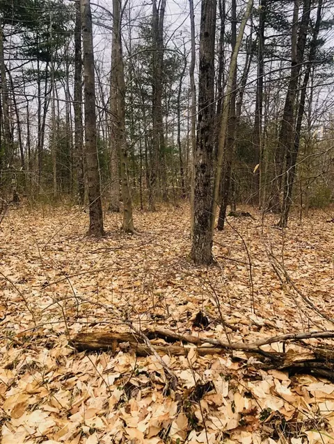 222 S S Pne, White Cloud, MI 49349 photo 23