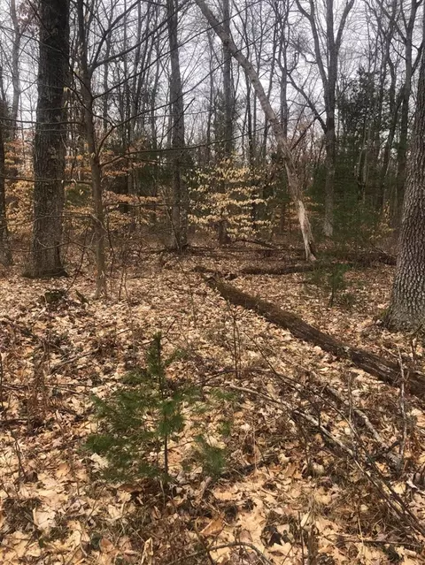222 S S Pne, White Cloud, MI 49349 photo 18