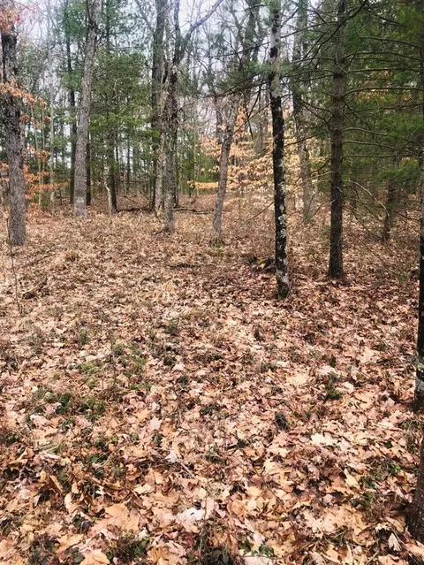 222 S S Pne, White Cloud, MI 49349 photo 19