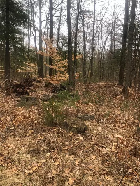 222 S S Pne, White Cloud, MI 49349