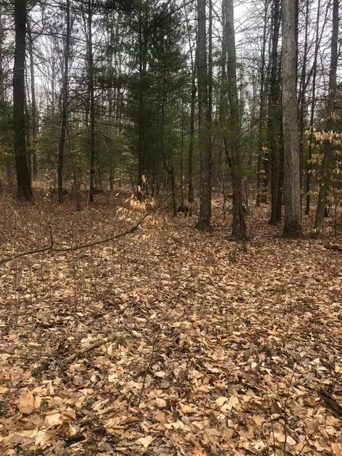 222 S S Pne, White Cloud, MI 49349 photo 10