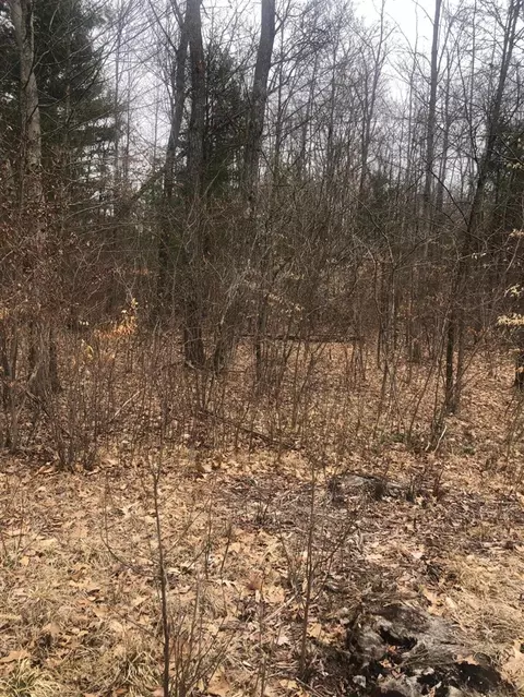 222 S S Pne, White Cloud, MI 49349 photo 9