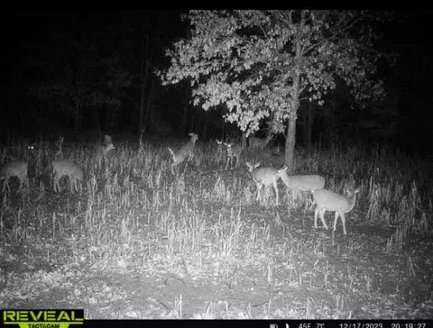 Other - 2992 E Upper Fld, Newaygo, MI 49337 photo 7 of 7