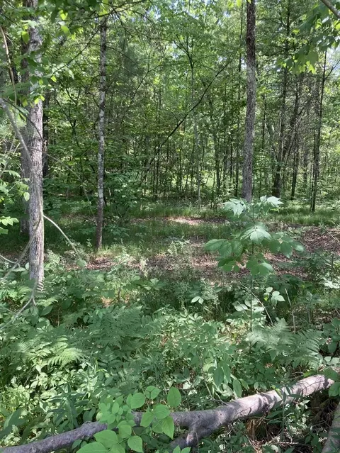 1360 E 82nd, Newaygo, MI 49337