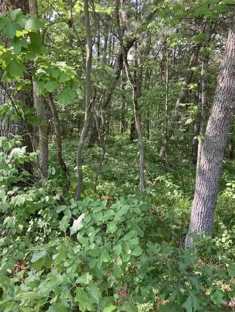 1360 E 82nd, Newaygo, MI 49337 photo 4