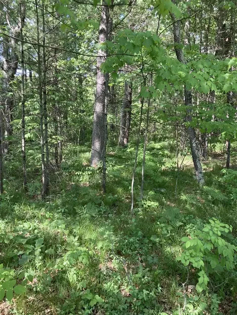 1360 E 82nd, Newaygo, MI 49337 photo 3