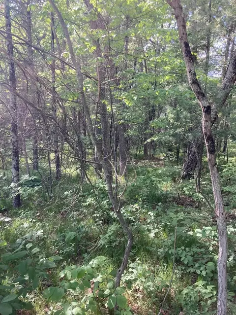 1360 E 82nd, Newaygo, MI 49337 photo 2