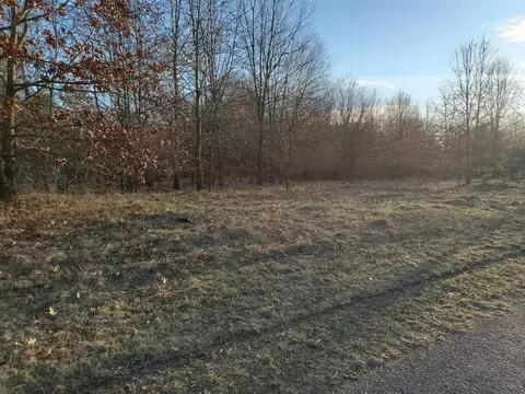 25127 Cherry Hl, Gobles, MI 49055
