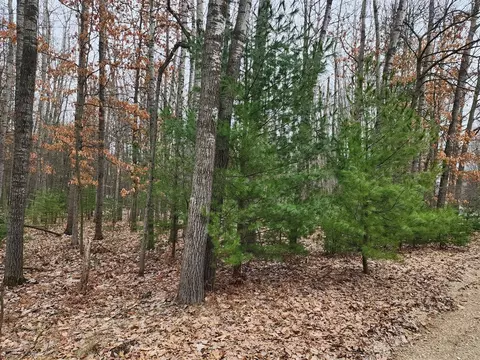 9090 Longview, Canadian Lakes, MI 49346