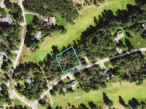 lot29 White Pine Dr, Cadillac, MI 49601