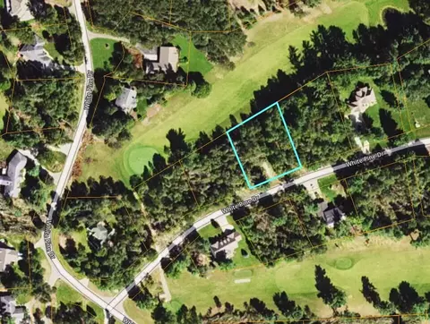 lot30 White Pine Dr, Cadillac, MI 49601