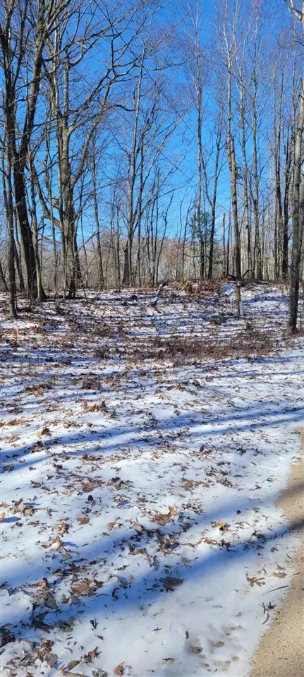 0 W Wildridge #143, Mears, MI 49436 photo 14