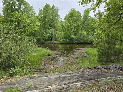6143 Cedar Trce, Canadian Lakes, MI 49346