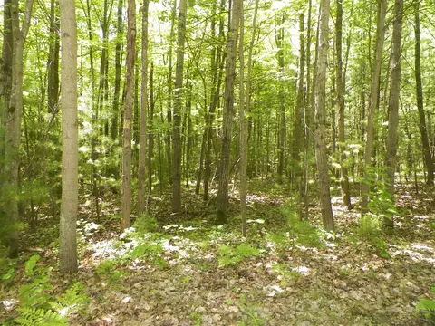 Lot #47 Bramblewood Dr, Cadillac, MI 49601