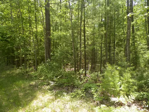 lot Apt 48 Bramblewood Dr, Cadillac, MI 49601