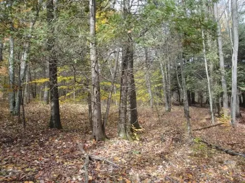 N Ruth, Branch, MI 49402