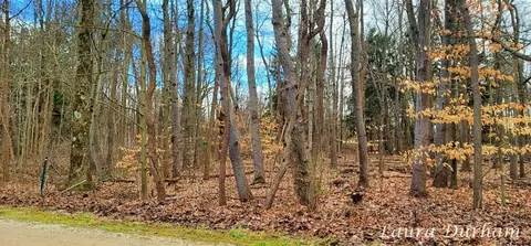 South Forest Trail, Fennville, MI 49408