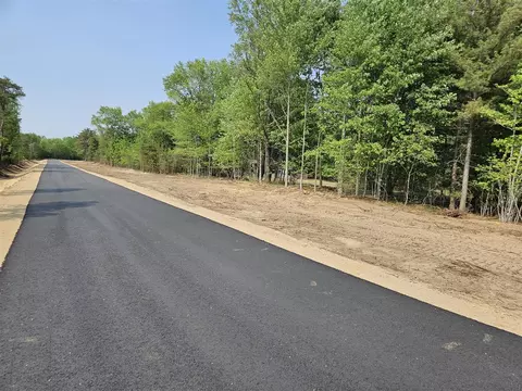 Parcel A Bluestone, West Olive, MI 49460