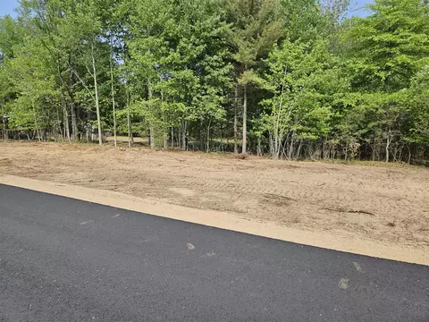 Parcel A Bluestone, West Olive, MI 49460 photo 9