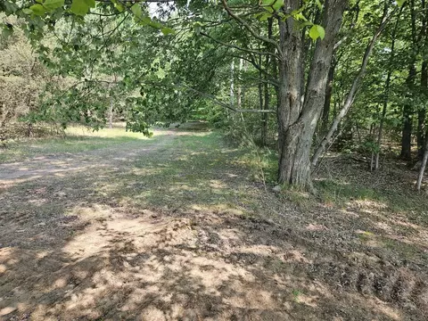 Parcel A Bluestone, West Olive, MI 49460 photo 4