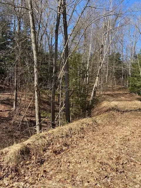 Lost Canyon, Pentwater, MI 49449