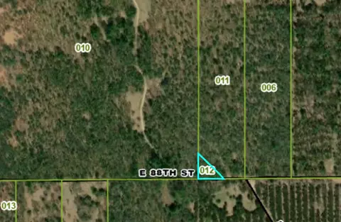 Nhn E 88th St, Grant, MI 49327 photo 3