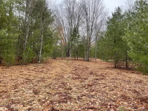 22861 Arquilla Crk, Harrietta, MI 49638 photo 7
