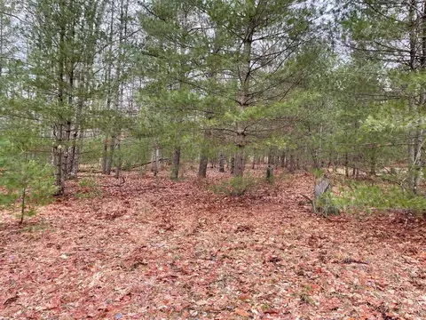 22861 Arquilla Crk, Harrietta, MI 49638 photo 4