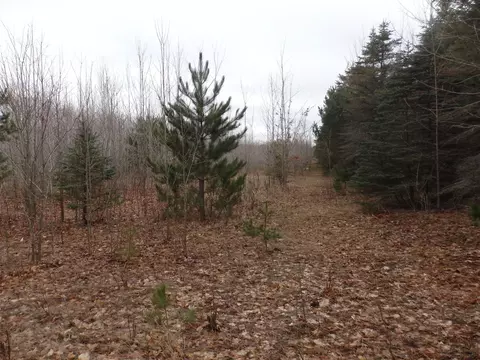 Glovers Lake, Bear Lake, MI 49614