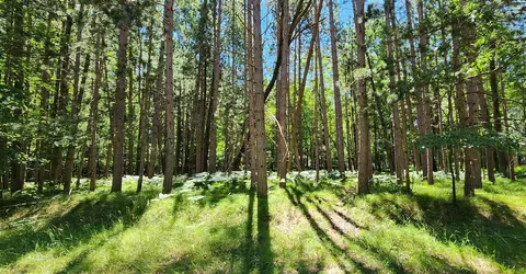 12383 Sundance, Canadian Lakes, MI 49346