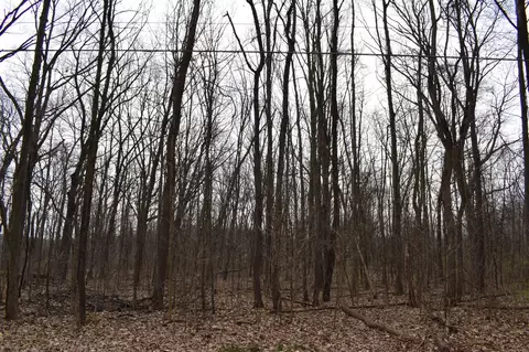 first, Dowagiac, MI 49047