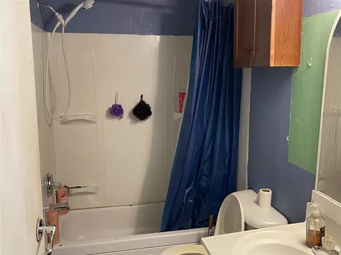 Bath - 8933 Florence St, Lake, MI 48632 photo 1 of 1