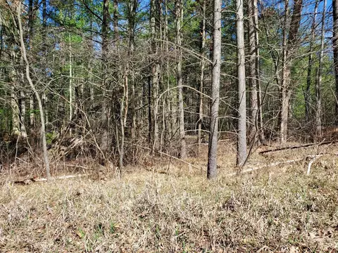 Idlewild Blvd, Idlewild, MI 49642