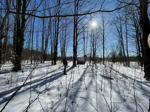 0 Grass Lk, Kalkaska, MI 49646