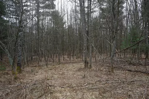 View/Area - 819 E 24th, Baldwin, MI 49304 photo 2 of 3
