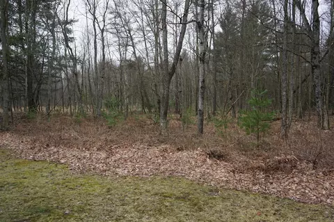 View/Area - 819 E 24th, Baldwin, MI 49304 photo 1 of 3