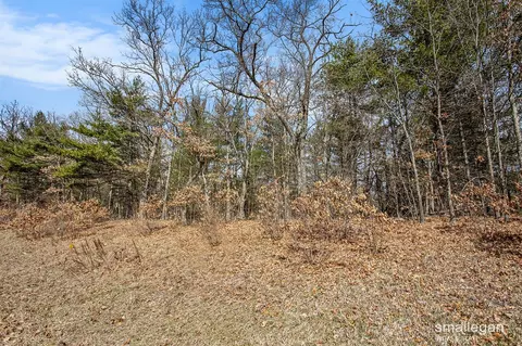 1359 82nd, Newaygo, MI 49337 photo 4