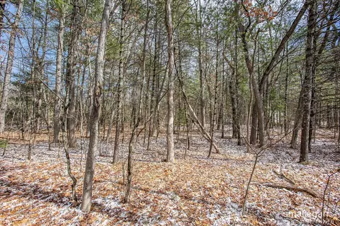 1359 82nd, Newaygo, MI 49337 photo 9