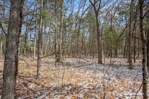 1359 82nd, Newaygo, MI 49337 photo 8