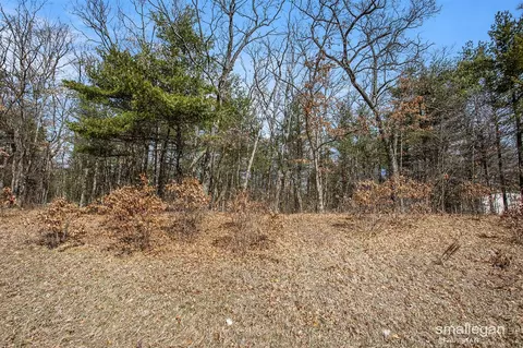 1359 82nd, Newaygo, MI 49337 photo 5