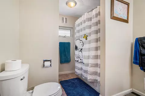 219 N Fountain, Marshall, MI 49068 photo 11