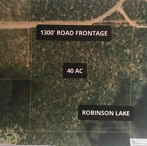 0 E Robinson Lk, Roscommon, MI 48653