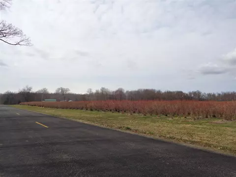 Parcel A 16th Avenue, Grand Junction, MI 49056