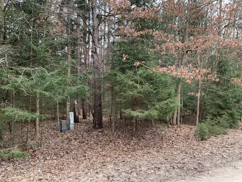 9205 White Pine Dr, Canadian Lakes, MI 49346