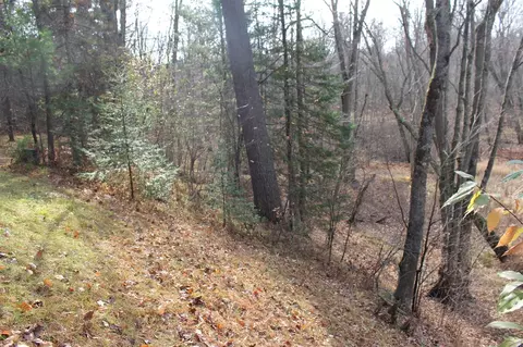 2391 Buck, Harrison, MI 48625 photo 22