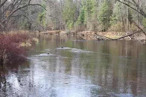 2391 Buck, Harrison, MI 48625 photo 27