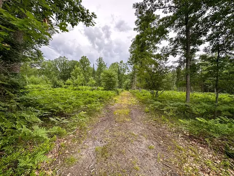 80 N Vl N Truesdale, Manton, MI 49663 photo 34