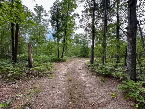 80 N Vl N Truesdale, Manton, MI 49663 photo 65