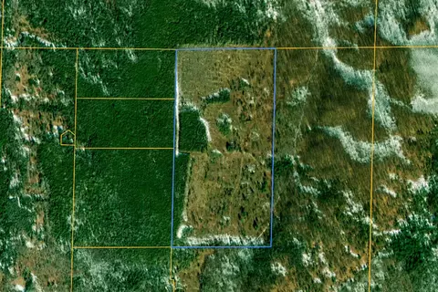 80 N Vl N Truesdale, Manton, MI 49663 photo 66