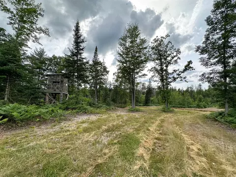 80 N Vl N Truesdale, Manton, MI 49663 photo 24
